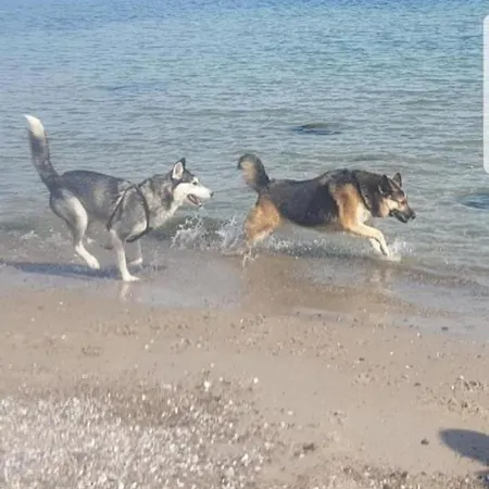 Lägenhet Santa Ponsa *